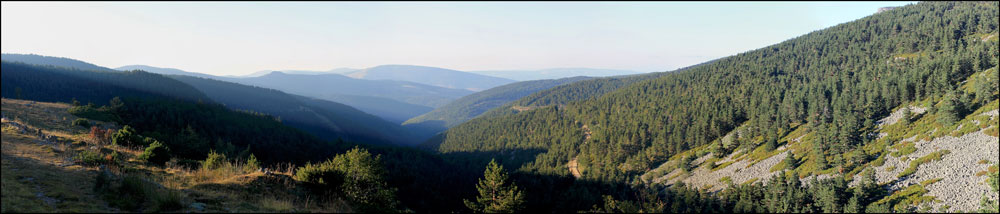 Gobster et al. (2007) presentan tres razones por las que la consideración estética influye en el paisaje: la estética del paisaje provee de una unión crucial entre el ser humano y los procesos ecológicos, la experiencia estética puede llegar a dirigir el cambio del paisaje y la atención sobre la calidad ecológica puede llegar a producirse y estar influida por la percepción del valor estético del paisaje. Foto: Alicia López