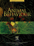 animal behav