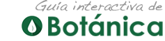 Logo GIMN