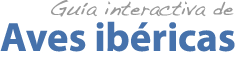 Logo GIMN